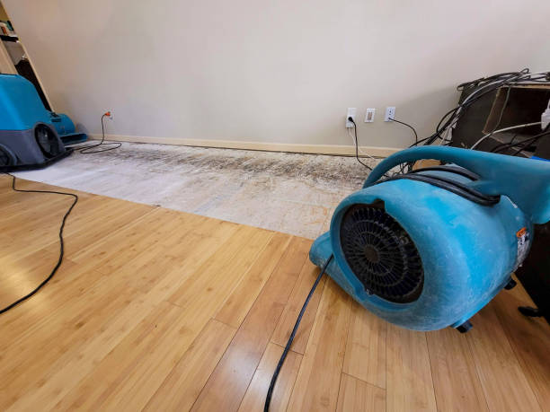 Professional Burst Pipe Water Damage technician working in Saint Charles, SD
